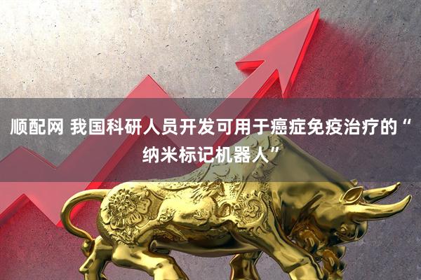 顺配网 我国科研人员开发可用于癌症免疫治疗的“纳米标记机器人”